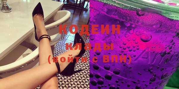 бошки Инта