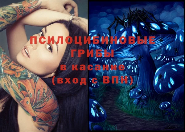 бошки Инта