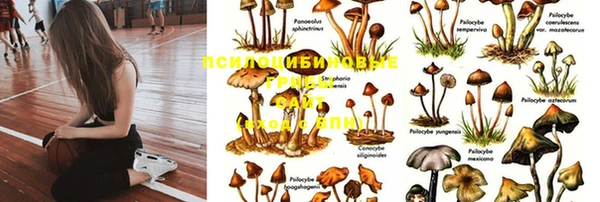 кокаин премиум Иннополис