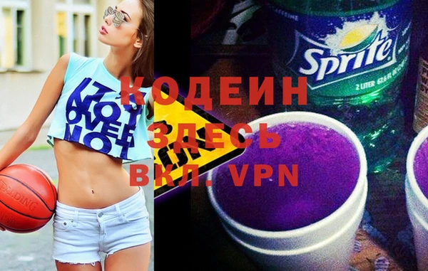 бошки Инта