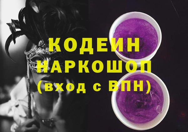 бошки Инта