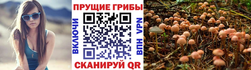 Галлюциногенные грибы прущие грибы  Североморск 