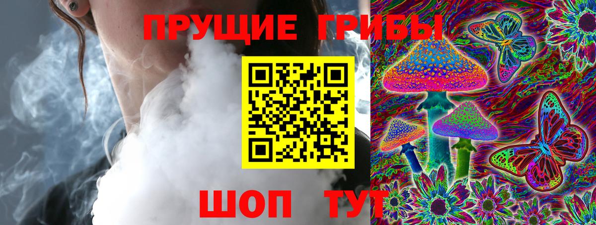 Псилоцибиновые грибы Cubensis Североморск