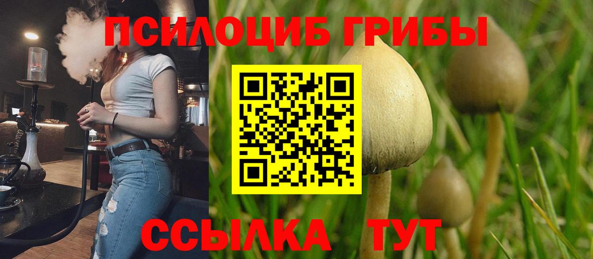 Североморск  Галлюциногенные грибы мухоморы  Галлюциногенные грибы MAGIC MUSHROOMS  Вход с VPN 